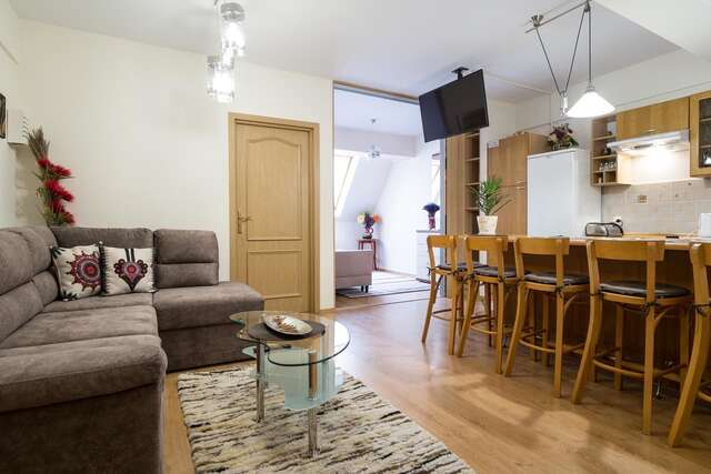 Апартаменты Apartamenty Zakopane Orkana Закопане-13