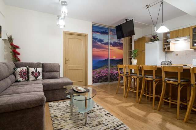 Апартаменты Apartamenty Zakopane Orkana Закопане-16